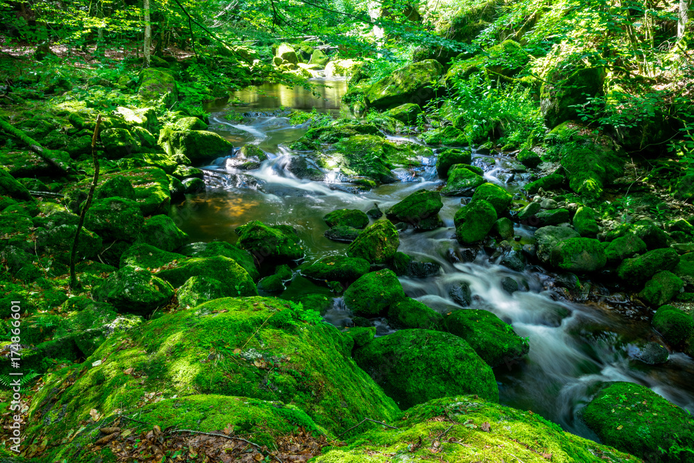 Bachlauf mit Fluss und Steinen im Bayerischen Wald