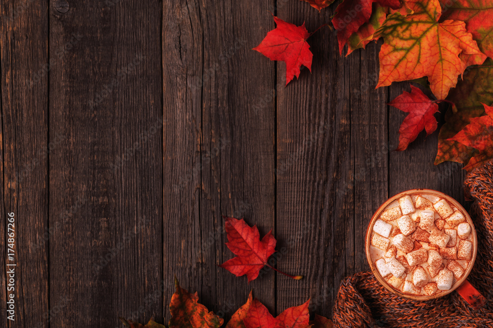 Autumn background with hot chocolate, knitted scarf, multi-colored leaves. Autumn background with hot chocolate, knitted scarf, multi-colored leaves.