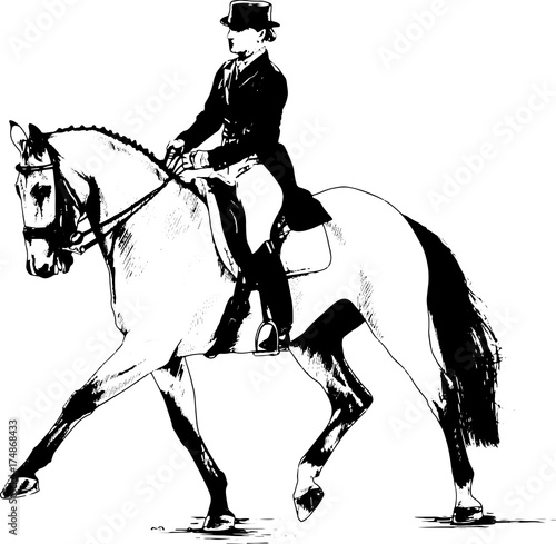 jockey on horse drawn with ink on a white background