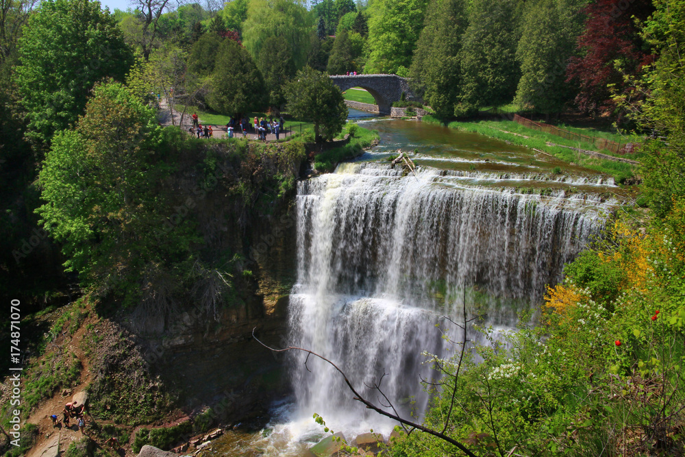 Fototapeta premium Webster waterfall, Dundas, Ontario, Canada.