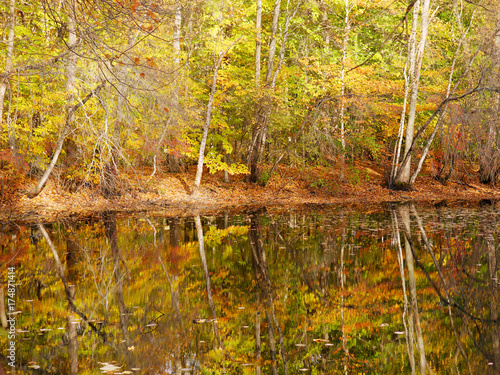 Closter Nature Center NJ (7)-Autumn leaves and trees reflected in a pond. photo