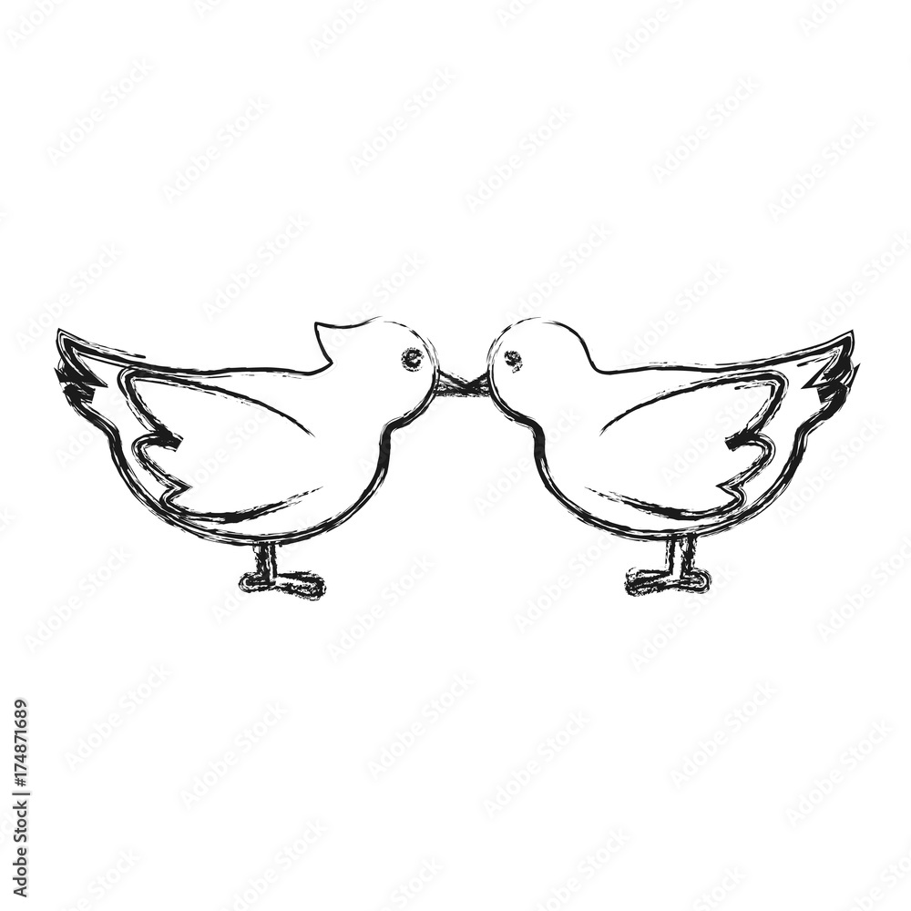 doves birds icon over white background vector illustration