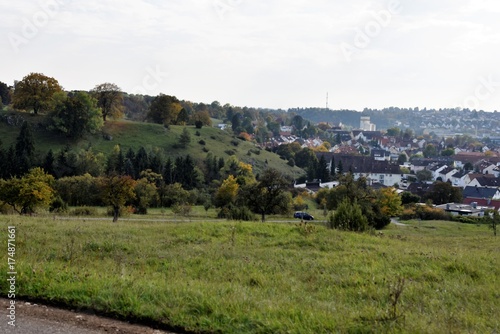 giengen an der brenz, stadt, ortsansicht, wald, baum gras, wiese, heide, green , gelb, herbst, dach, rot, himmel, landschaft, natur, gegend, fremdenverkehr, tourismus, reisen, anblick, panorama photo