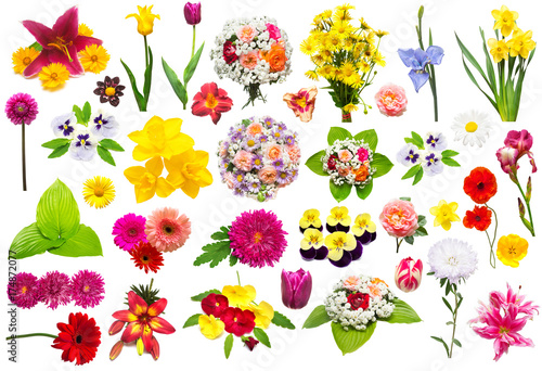 Fototapeta Naklejka Na Ścianę i Meble -  Creative collection flower set with roses, chamomiles, chrysanthemum, iris, gerbera, lily, aster, narcissus, poppy, pansies and other isolated on white background. Summer, flora, spring
