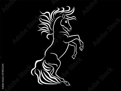 white horse