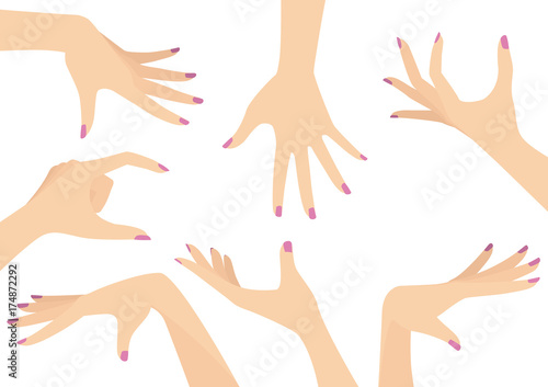 Vector Set of Beautiful Woman Hands