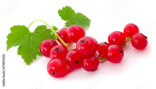 Red currants isolated.