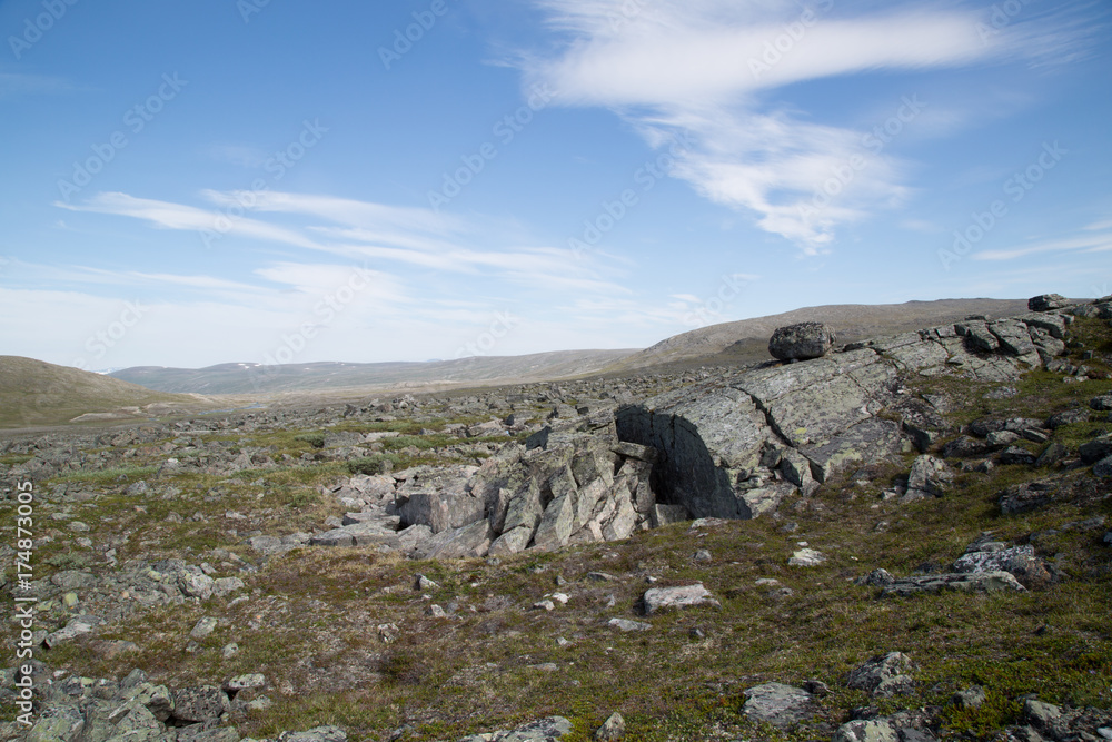 Landscape at the Nature Reserve Ráisduottarháldi, Norway, summer 