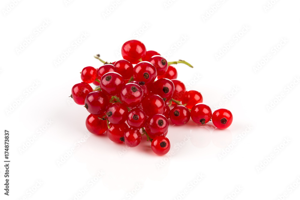 Red currant isolated Red currant isolated