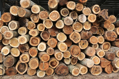 Acacia timber logs