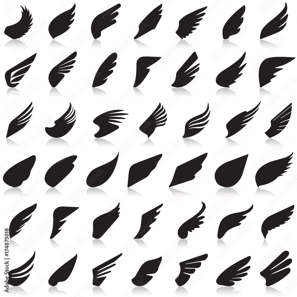 Wings vector set of icons Wings vector set of icons