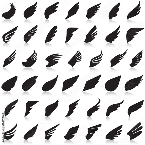 Wings vector set of icons