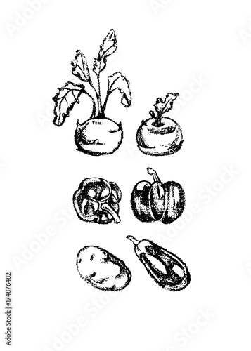 Hand drawn vegetables