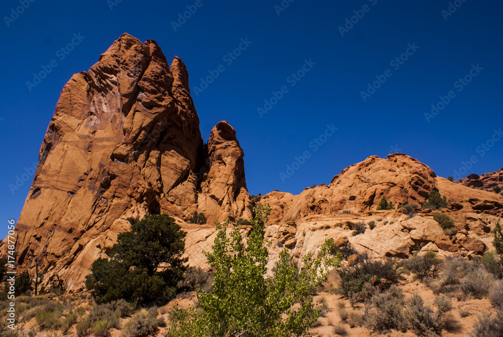 Varnish on the Sandstone in Capital Reef National Park