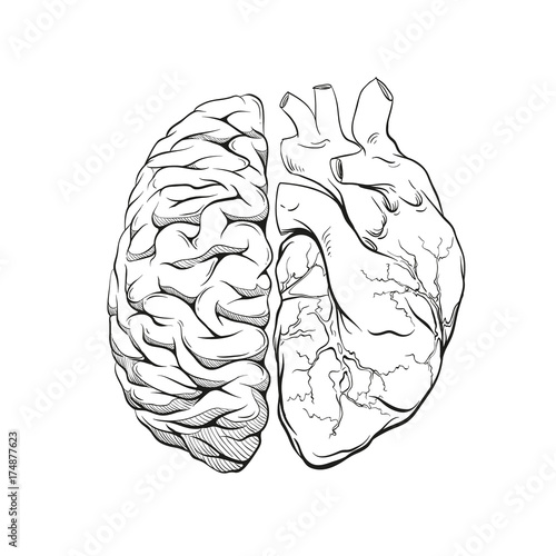 Versus human brain right and left hemisphere and heart illustration. Creative concept vector design. 