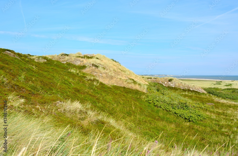 Fototapeta premium Landscape with sand dunes