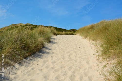 Landscape with sand dunes