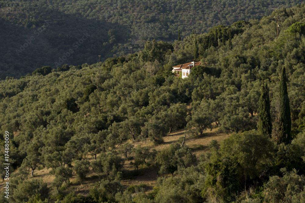Griechisches Haus im Olivenhain