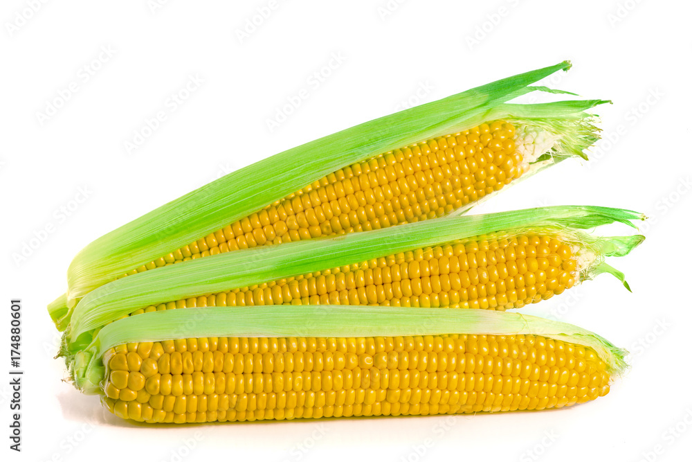 ear of corn isolated on a white background ear of corn isolated on a white background