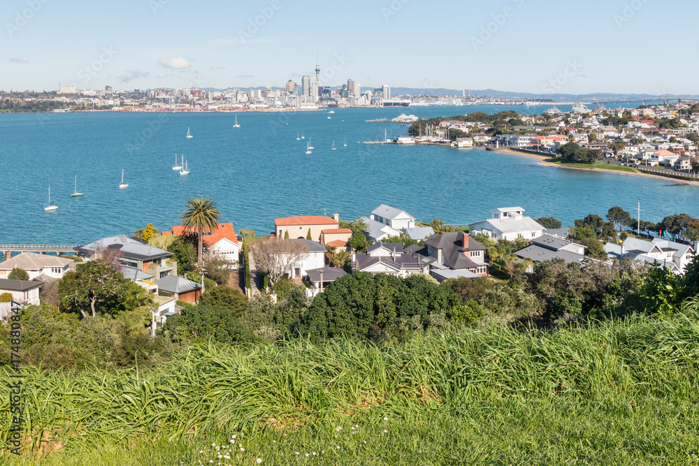 Auckland panorama with Devonport suburb in foreground