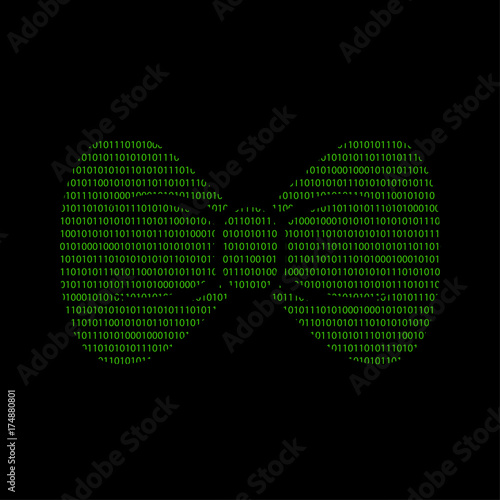 Hacker - 101011010 Icon - Schleife