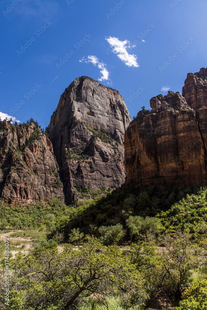The Great White Throne Towers Over the Virgin River
