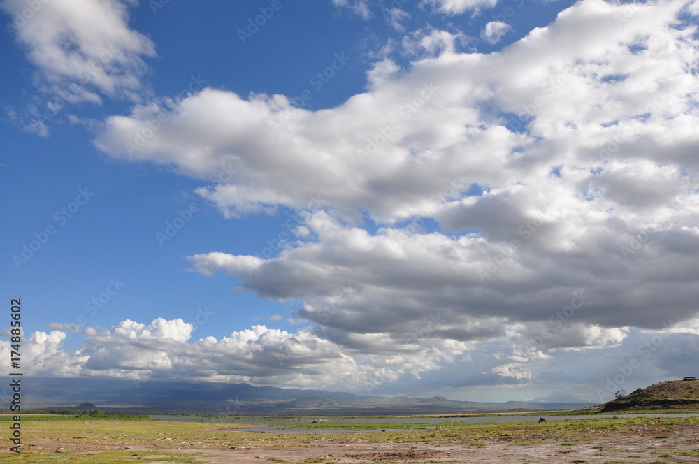 Fototapeta premium The African landscape. Kenya