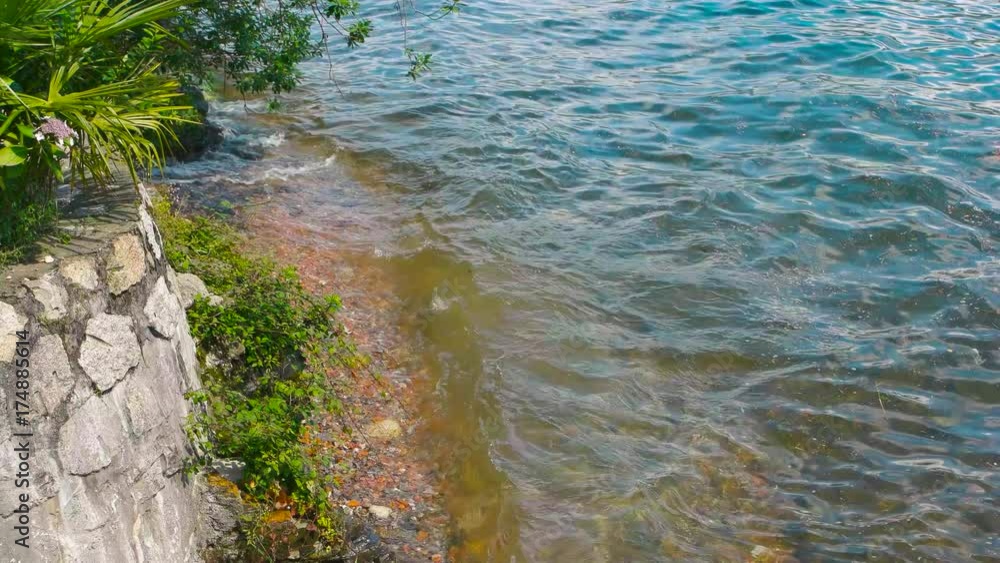 Waves on lake shore, summer. Water and green plants. Waves on lake shore, summer. Water and green plants.