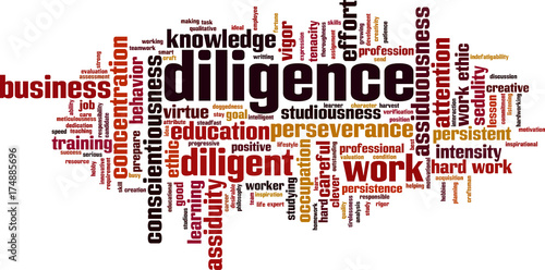 Diligence word cloud