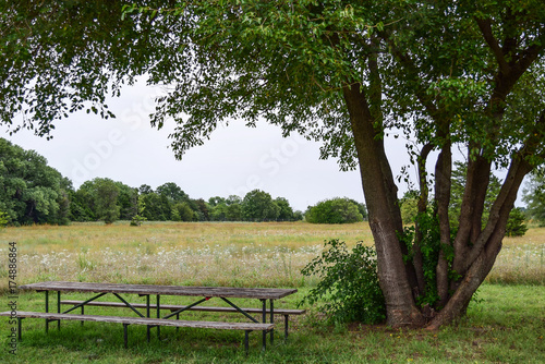 Picnic Area by the Meadow in Sedgwick Park in Kansas