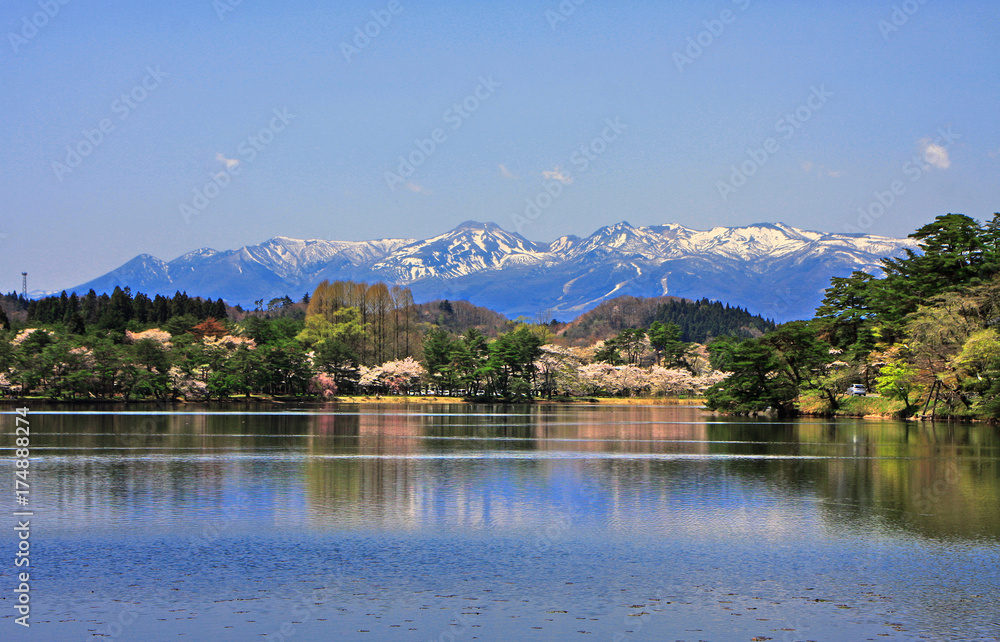 Fototapeta premium 南湖公園（福島県・白河市）