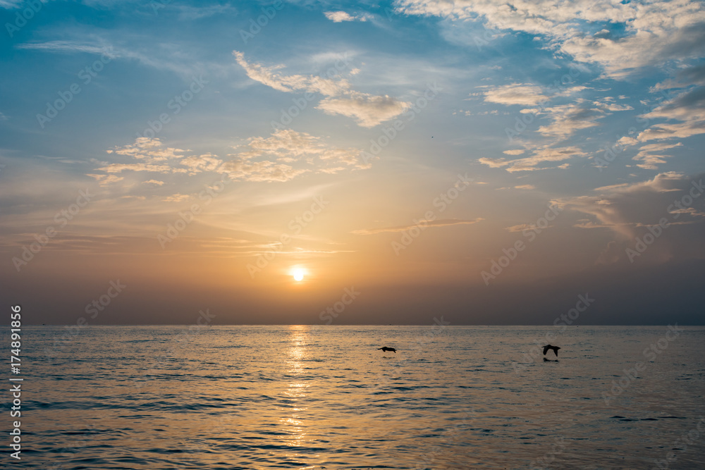 pelicans flying over flat ocean waters on a beautiful morning at the beach pelicans flying over flat ocean waters on a beautiful morning at the beach