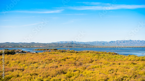 Ebro Delta estuary and wetlands, Tarragona, Catalunya, Spain. Copy space for text.