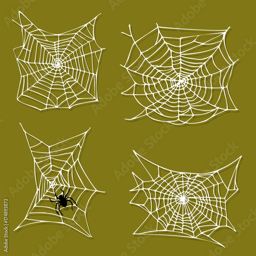 Spider web silhouette arachnid fear graphic flat scary animal design nature insect danger horror halloween vector icon.