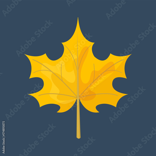Autumn yellow maple leaf season nature color plant foliage bright decoration design natural colorful flat vector illustration.