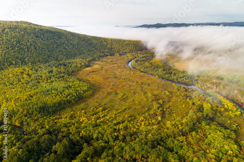 aerial shot of colorful autumn forest and small river landscape