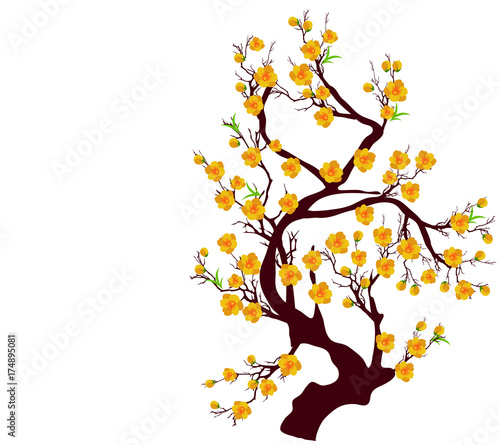 Vector Cherry blossom for Chinese New Year and lunar new year