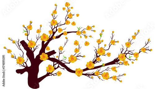 Vector Cherry blossom for Chinese New Year and lunar new year