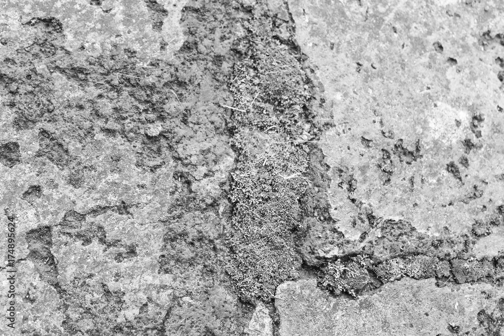 Moss Stone Concrete Detail Moss Stone Concrete Detail