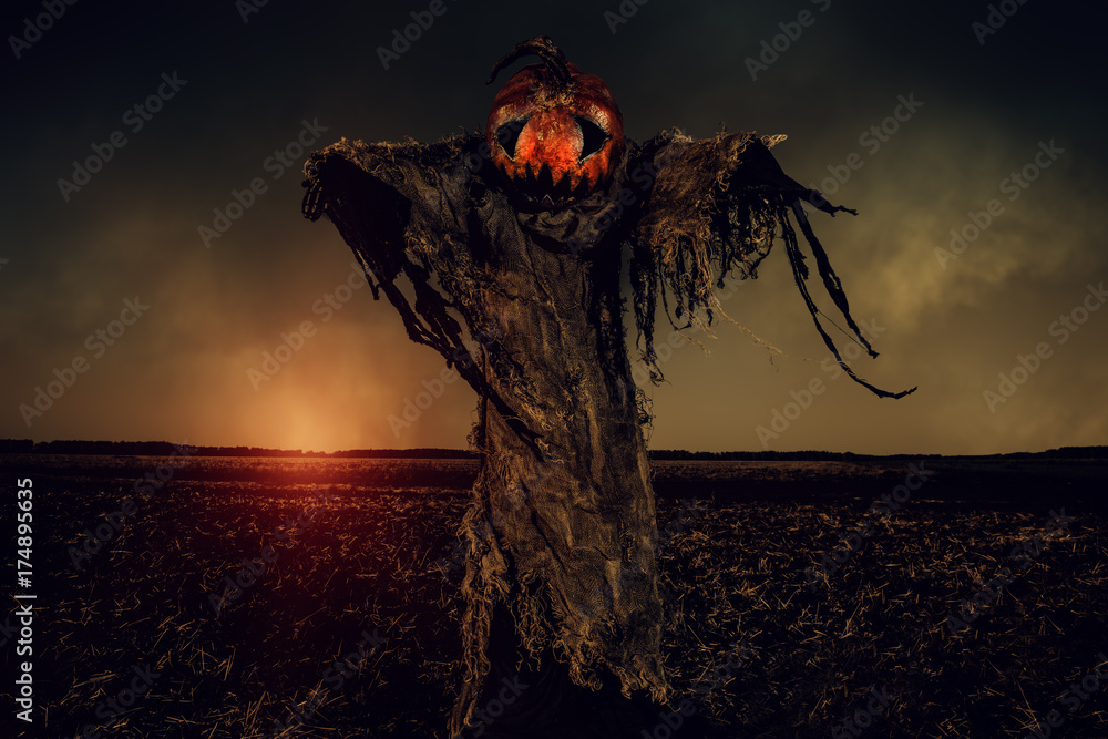 Obraz premium scarecrow pumpkin creature