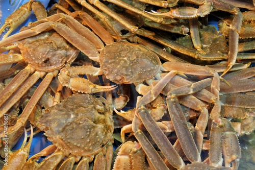 fresh snow crab in seafood market
