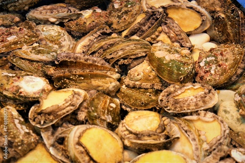 fresh abalone in Seafood Market
 photo
