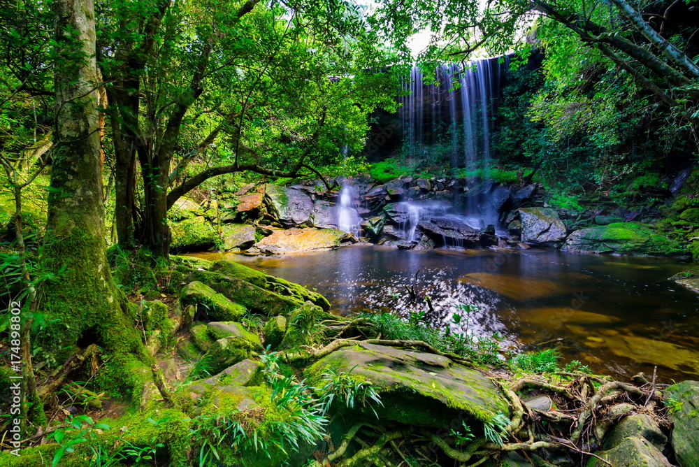 beautiful tropical rainforest and stream in deep forest, Phu Kradueng