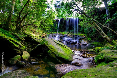 beautiful tropical rainforest and stream in deep forest, Phu Kradueng National Park, Thailand