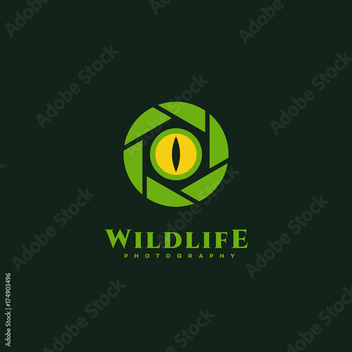 Wildlife photography