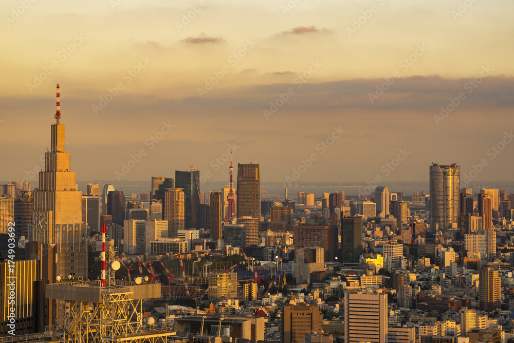 Cityscape of Tokyo, Japan, from the observation room of Tokyo metropolitan government building at sunset.
