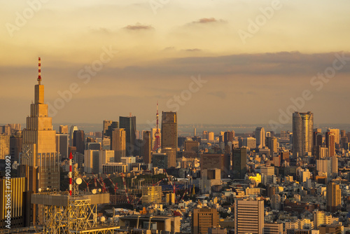 Cityscape of Tokyo  Japan  from the observation room of Tokyo metropolitan government building at sunset.  