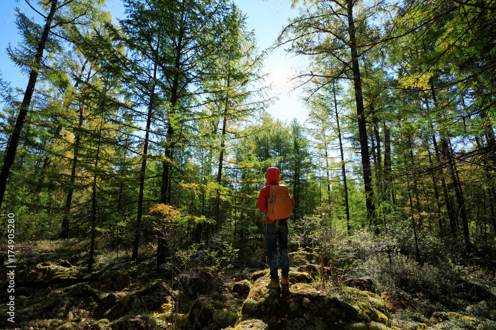 Fototapeta premium hiking woman enjoy the view in the sunrise autumn forest