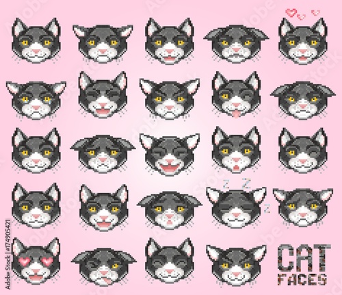 cat emoticon, vector