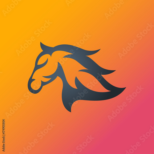 Fototapeta Naklejka Na Ścianę i Meble -  Horse logo vector icon design
